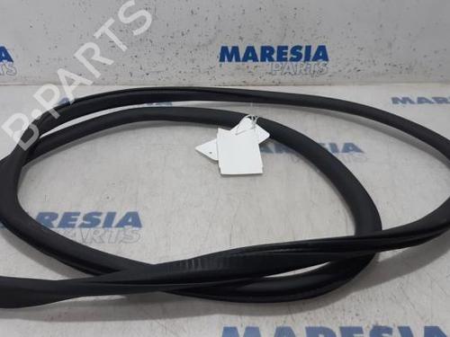 BP31456865C142 main image