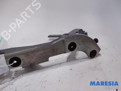 Hinge/Door check strap FIAT 500 C (312_) 1.2 (312CXA1A, 312AXA1A) | BP31429960C146