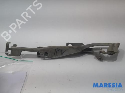 hingedoor-check-strap-peugeot-207-cc-wd_-2007-2008-2009-2010-2011-2012-2013-2014-2015-31416731 main image