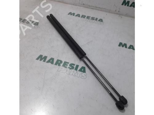 Used Tailgate lift support PEUGEOT BIPPER Tepee 1.4 (73 hp) 31521877