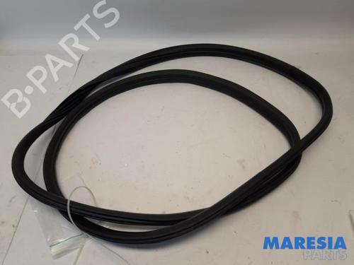 Gummiliste Gummiliste PEUGEOT 3008 I MPV (0U_) 1.6 THP (156 hp) 31391666 31391666
