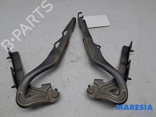 Hinge/Door check strap PEUGEOT 207 CC (WD_) 1.6 16V | BP31485368C146