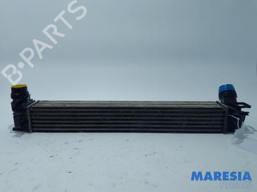 BP31526487M30 main image