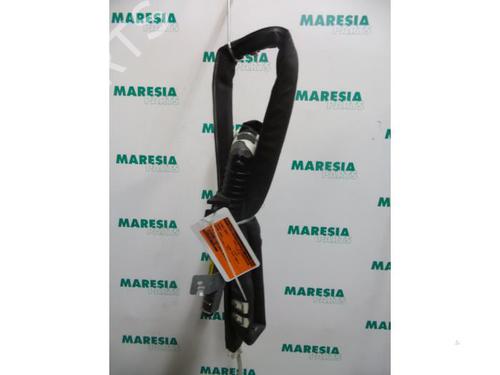 Used Left curtain airbag RENAULT GRAND SCÉNIC II (JM0/1_) 2.0 (163 hp) 31495025
