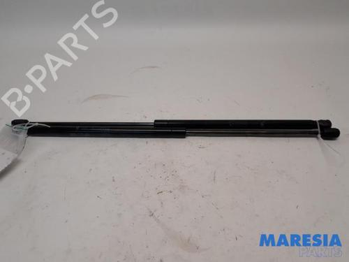 tailgate-lift-support-lancia-ypsilon-312_-2011-31404069 main image