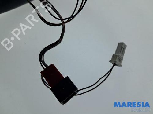 Rat FIAT 500 (312_) 1.2 (312AXA1A) | BP39449711C49  - Image 8