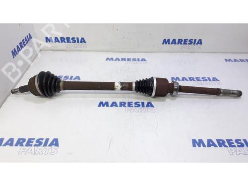 BP31493880M39 main image