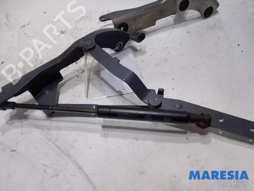 Hinge/Door check strap FIAT 500 C (312_) 1.2 (312CXA1A, 312AXA1A) | BP31429960C146