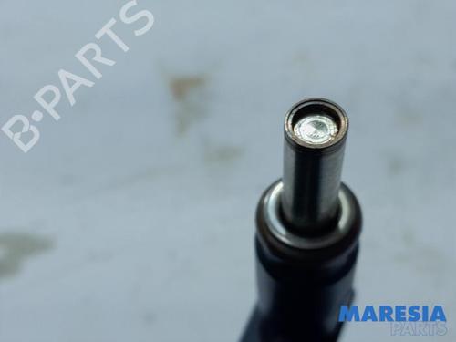 Injector CITROËN C3 II (SC_) 1.6 VTi 120 | BP31396219M100