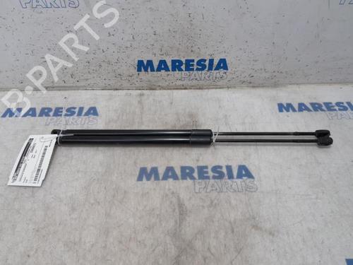 tailgate-lift-support-peugeot-5008-0u_-0e_-2009-2010-2011-2012-2013-2014-2015-2016-2017-31474184 main image