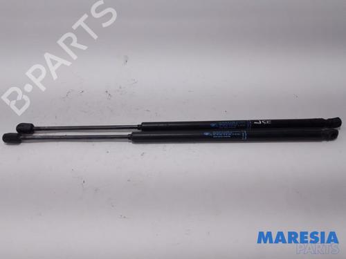 tailgate-lift-support-citroen-c4-grand-picasso-i-ua_-2006-2007-2008-2009-2010-2011-2012-2013-31444791 main image