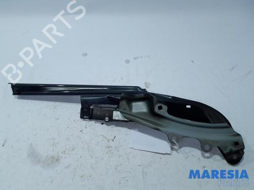 Hinge/Door check strap RENAULT WIND (E4M_) 1.2 TCe 100 (E4MF) | BP31436905C146