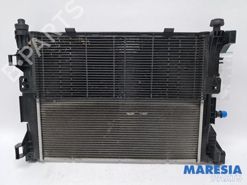 Water radiator RENAULT ZOE Hatchback Van (BFM_) Electric (BFME) | BP31432193M31