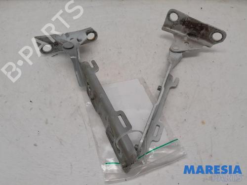 Used Hinge/Door check strap CITROËN C5 III (RD_) 1.6 THP 155 (RD5FV8, RD5FNA) (156 hp) 31449703