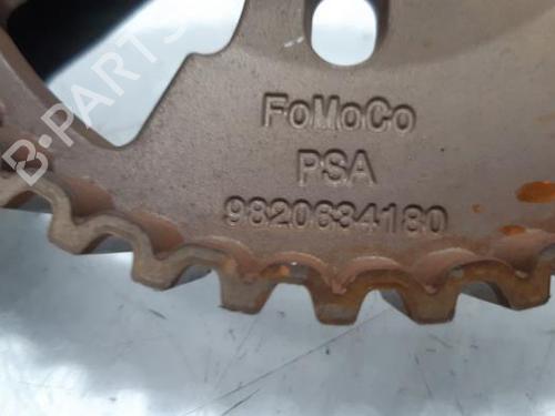 Pulley CITROËN JUMPY III Van (V_) 1.6 BlueHDi 95 | BP31517064M122