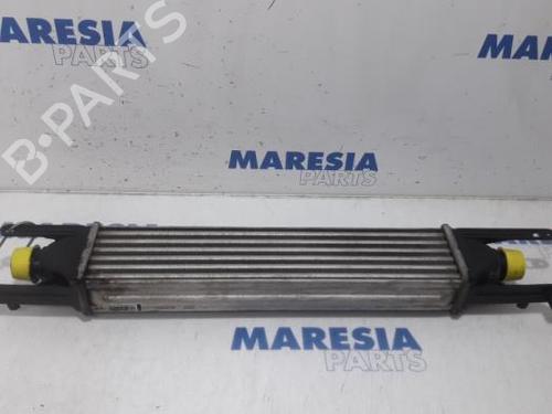 Used Intercooler FIAT PUNTO EVO (199_) 1.3 D Multijet (84 hp) 31521003