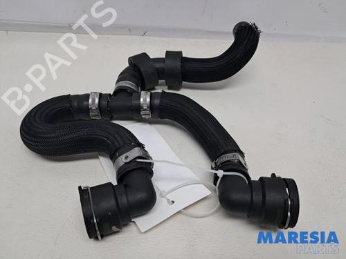 Pipe ALFA ROMEO GIULIA (952_) 2.9 Quadrifoglio (952AAM24) | BP32011832M125
