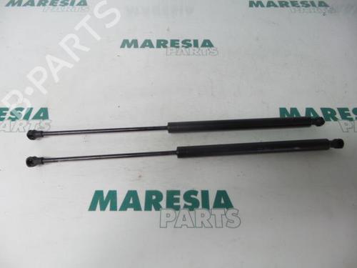 tailgate-lift-support-peugeot-206-hatchback-2ac-1998-1999-2000-2001-2002-2003-2004-2005-2006-2007-2008-2009-2010-2011-2012-31428802 main image