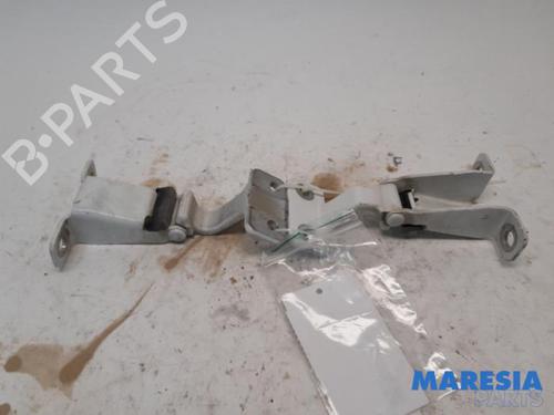 Used Hinge/Door check strap RENAULT KANGOO Express (FW0/1_) 1.5 dCi 75 (FW07, FW10, FW04) (75 hp) 31443489