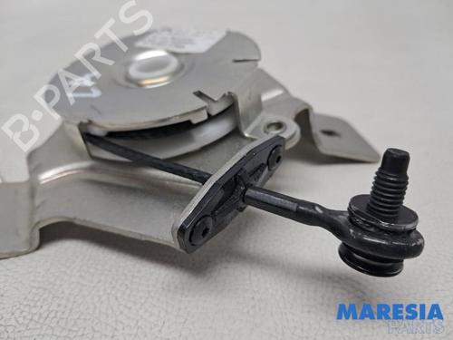 Hinge/Door check strap PEUGEOT 3008 I MPV (0U_) 1.6 THP | BP31816522C146 