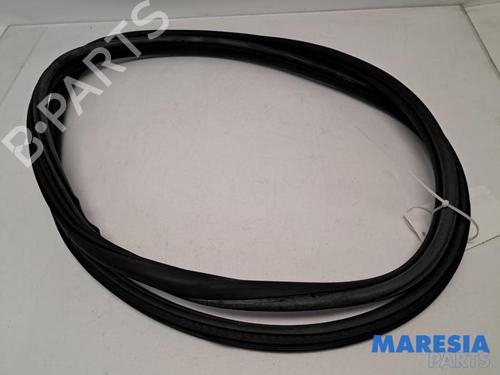 Gummiliste CITROËN C4 II (NC_) 1.6 VTi 120 (NC5FS0, NC5FS9) (120 hp) 31397182