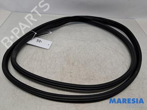 Gummiliste PEUGEOT 5008 (0U_, 0E_) 1.6 16V (156 hp) 31632036