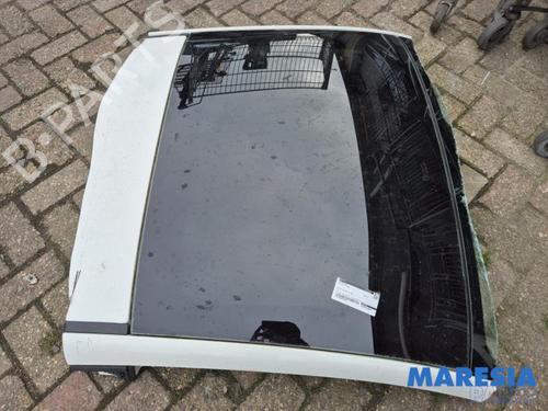 Used Sunroof FIAT 500 (312_) 1.2 (312AXA1A) (69 hp) 31514299