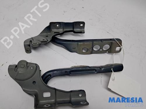 hingedoor-check-strap-citroen-c4-ii-nc_-2009-34737920 main image