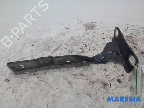 Used Hinge/Door check strap CITROËN C5 III (RD_) 1.6 THP 155 (RD5FV8, RD5FNA) (156 hp) 31508943