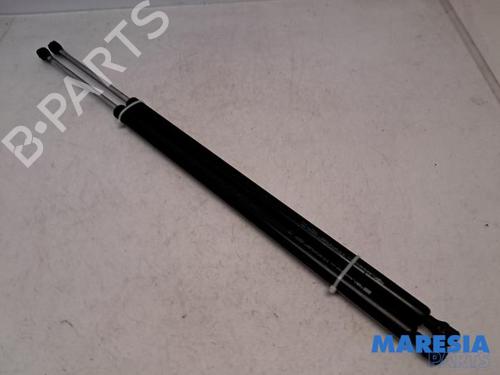 Gasdæmper bagklap RENAULT ESPACE IV (JK0/1_) 2.0 (JK0A, JK1D, JK0N) (170 hp) 31532670