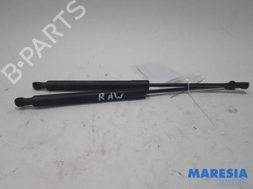 tailgate-lift-support-peugeot-207-sw-wk_-2007-2008-2009-2010-2011-2012-2013-31524975 main image