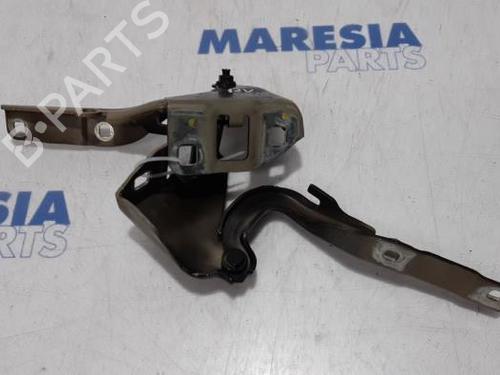Used Hinge/Door check strap FIAT PANDA (312_, 319_) 0.9 (312PXG1A) (86 hp) 31467051