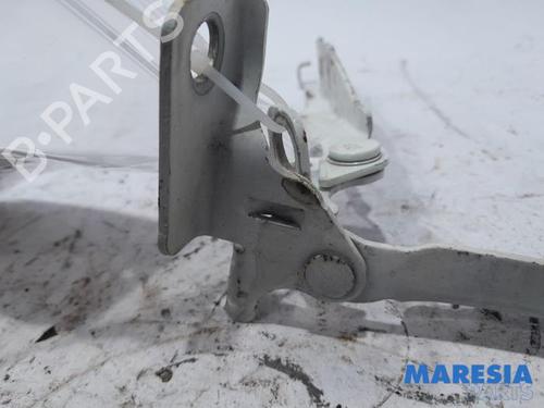 Hinge/Door check strap CITROËN DS3 (SA_) 1.4 VTi 95 | BP31524653C146