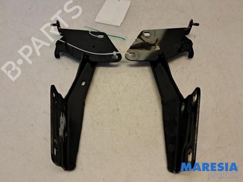Used Hinge/Door check strap RENAULT MEGANE CC (EZ0/1_) 1.4 TCe (EZ0F, EZ1V) (131 hp) 31523866