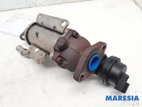 Egr RENAULT ESPACE IV (JK0/1_) 2.0 dCi (JK01, JK02, JK1J, JK1K, JK1H) | BP31487617M69 