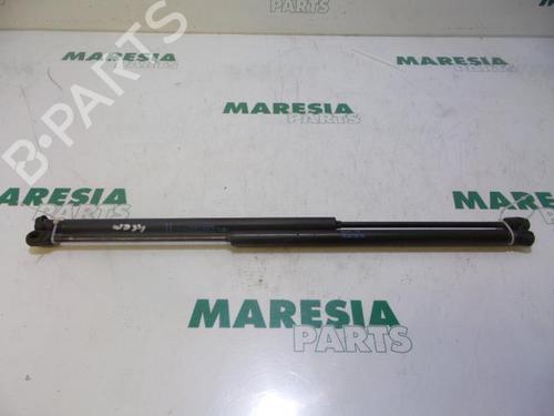 tailgate-lift-support-citroen-c4-grand-picasso-i-ua_-2006-2007-2008-2009-2010-2011-2012-2013-31384054 main image