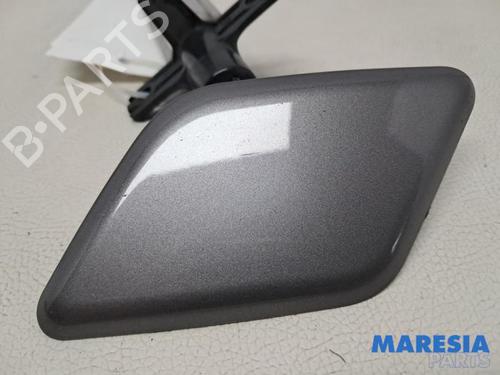 Waschwasserpumpe für RENAULT SCÉNIC III (JZ0/1_) 1.6 16V (JZ0U, JZ1B) (110 hp) 31816574