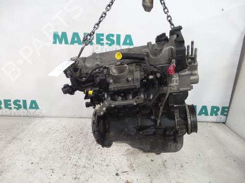 Used Engine FIAT PANDA (169_) 1.2 (169.AXB11, 169.AXB1A) (60 hp) 31474424