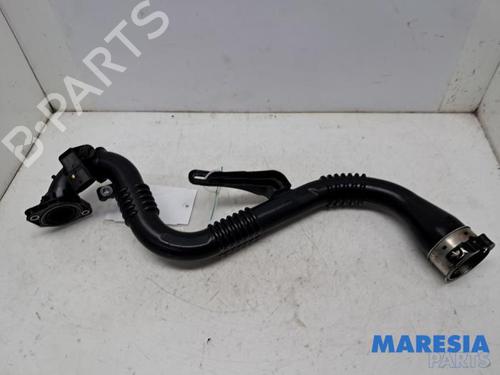 Exhaust system RENAULT CLIO IV (BH_) 0.9 TCe 90 (BHNF, BHMA, BHMH, BHJK, BHJR) | BP31388559M121