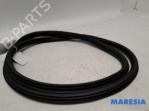 Gummiliste PEUGEOT 2008 I (CU_) 1.2 VTi (82 hp) 31470075