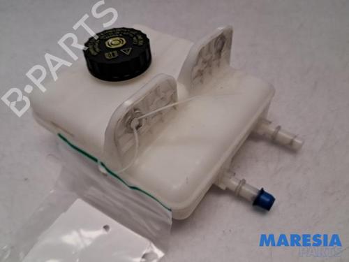 Brake fluid reservoir RENAULT ZOE Hatchback Van (BFM_) Electric (BFME) | BP31477339M118