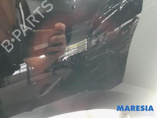 Left front fenders CITROËN C4 Grand Picasso II (DA_, DE_) 1.6 VTi 120 | BP31428655C41