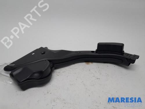 Pipe RENAULT KADJAR (HA_, HL_) 1.6 TCe 165 (HLMH) | BP31466517M125