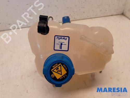 Ekspansjonstank FIAT 500 (312_) 0.9 (312AXP1A) (60 hp) 33055047