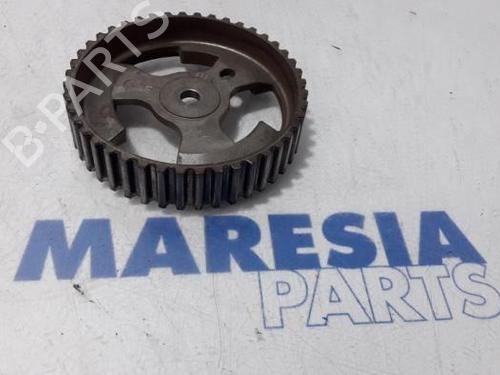 Polea CITROËN BERLINGO Box Body/MPV (B9) 1.6 HDi 90 (90 hp) 31390278