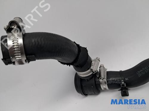 Pipe RENAULT CLIO IV (BH_) 0.9 TCe 90 (BHNF, BHMA, BHMH, BHJK, BHJR) | BP31408556M125 