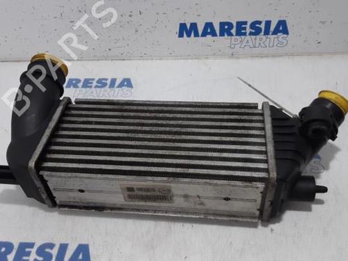Intercooler CITROËN JUMPY II Van 2.0 HDi 125 (128 hp) 31532100