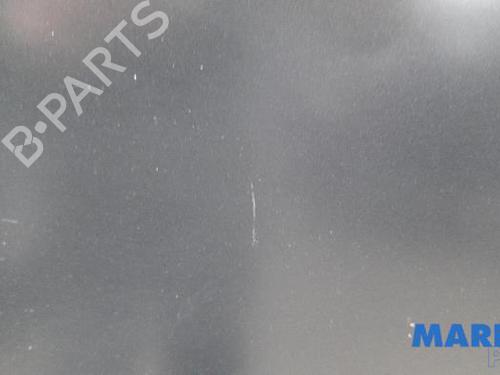 Hood FIAT 500 (312_) 0.9 (312AXG1A, 312.AXG11) | BP31391162C1