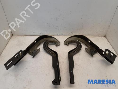 Used Hinge/Door check strap PEUGEOT 3008 I MPV (0U_) 1.6 VTi (120 hp) 31532828