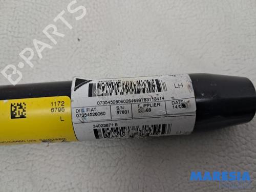 Other FIAT 500 (312_) 1.2 (312AXA1A) | BP31816667O1